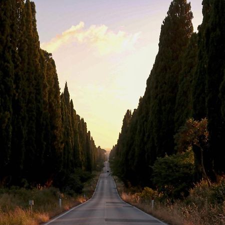Relais Felciaino B&B Bolgheri Dış mekan fotoğraf