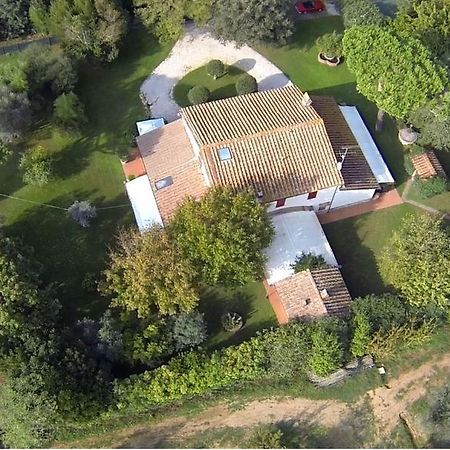 Relais Felciaino B&B Bolgheri Oda fotoğraf