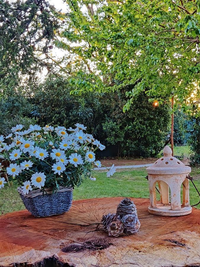 Relais Felciaino B&B Bolgheri Dış mekan fotoğraf