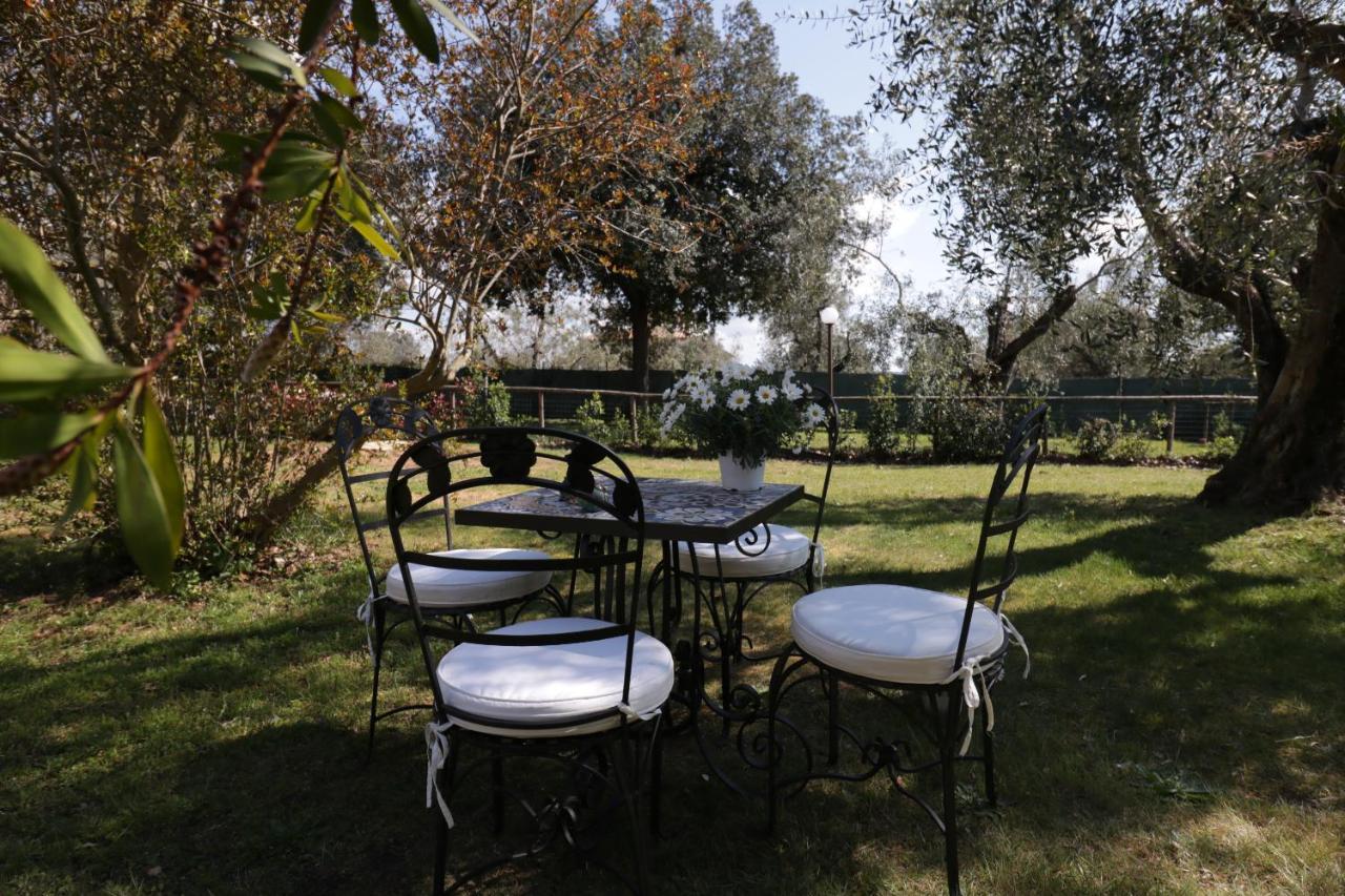 Relais Felciaino B&B Bolgheri Dış mekan fotoğraf