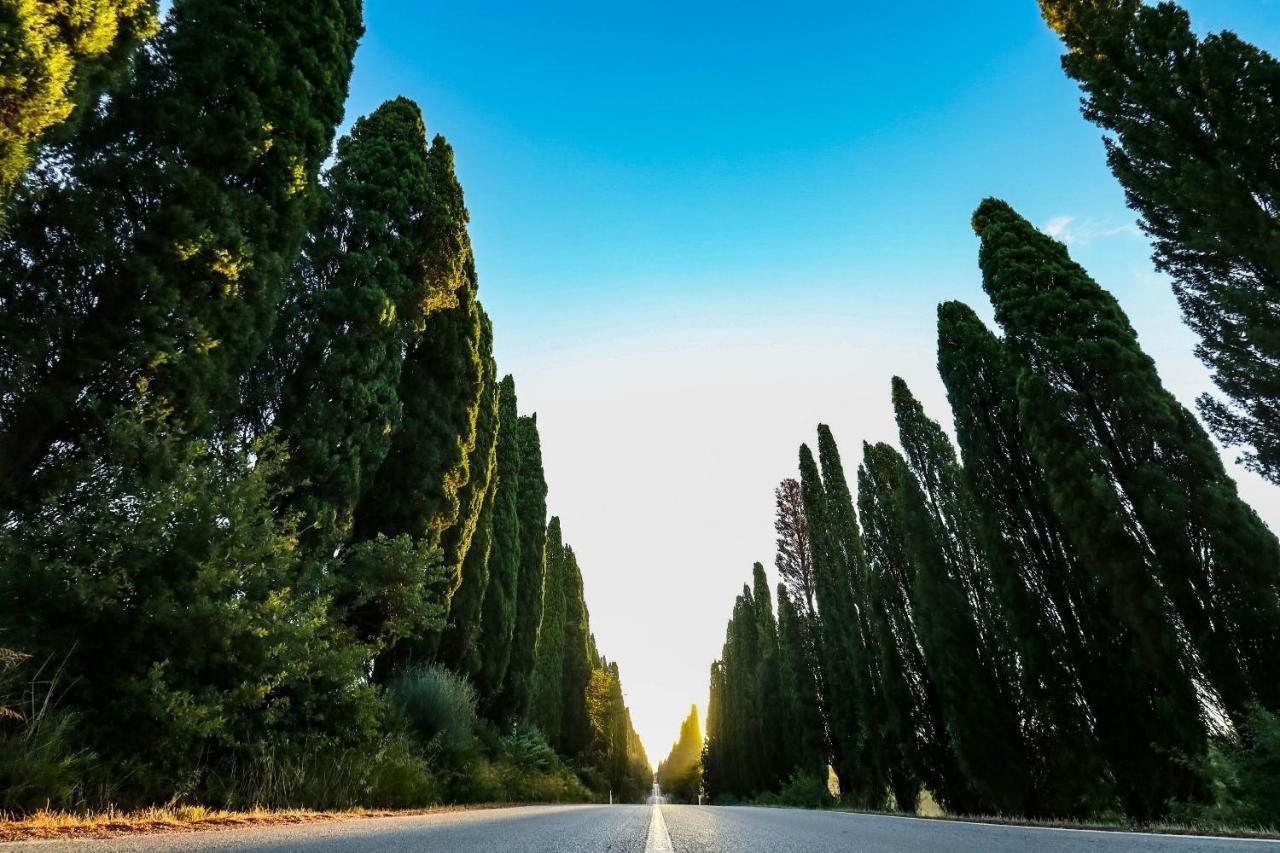 Relais Felciaino B&B Bolgheri Dış mekan fotoğraf
