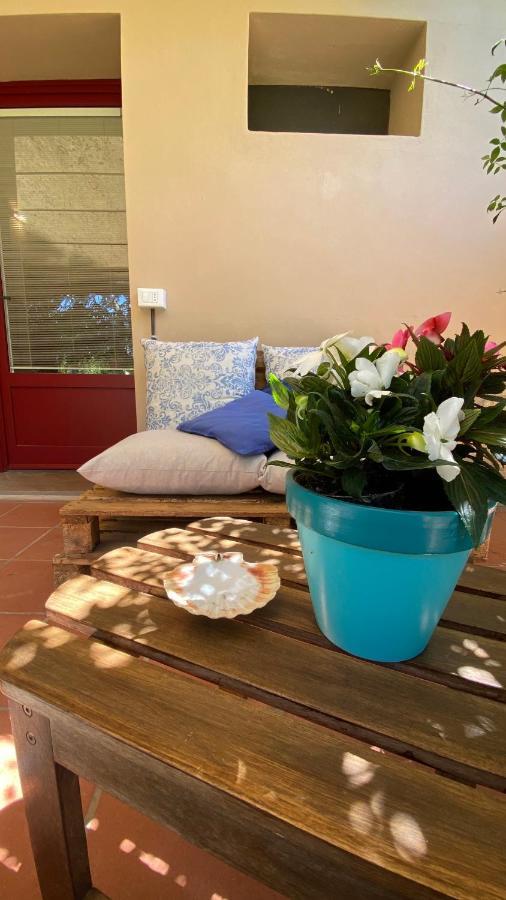 Relais Felciaino B&B Bolgheri Dış mekan fotoğraf
