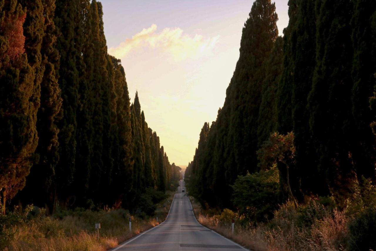 Relais Felciaino B&B Bolgheri Dış mekan fotoğraf