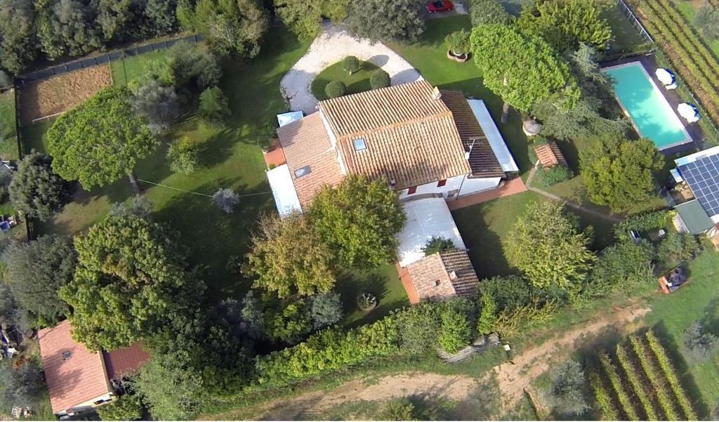 Relais Felciaino B&B Bolgheri Oda fotoğraf