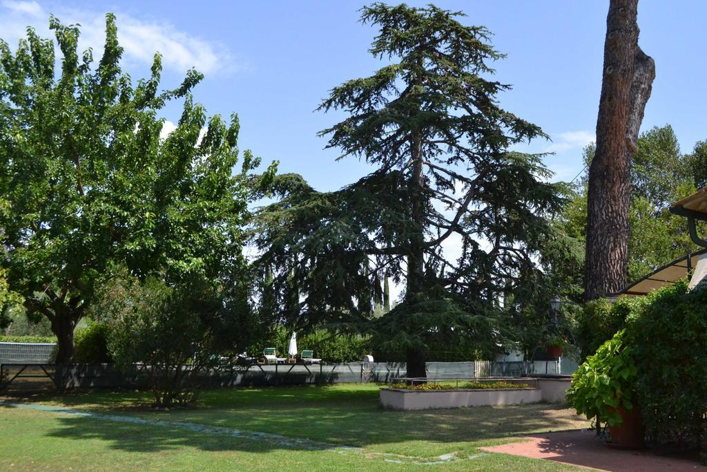 Relais Felciaino B&B Bolgheri Dış mekan fotoğraf